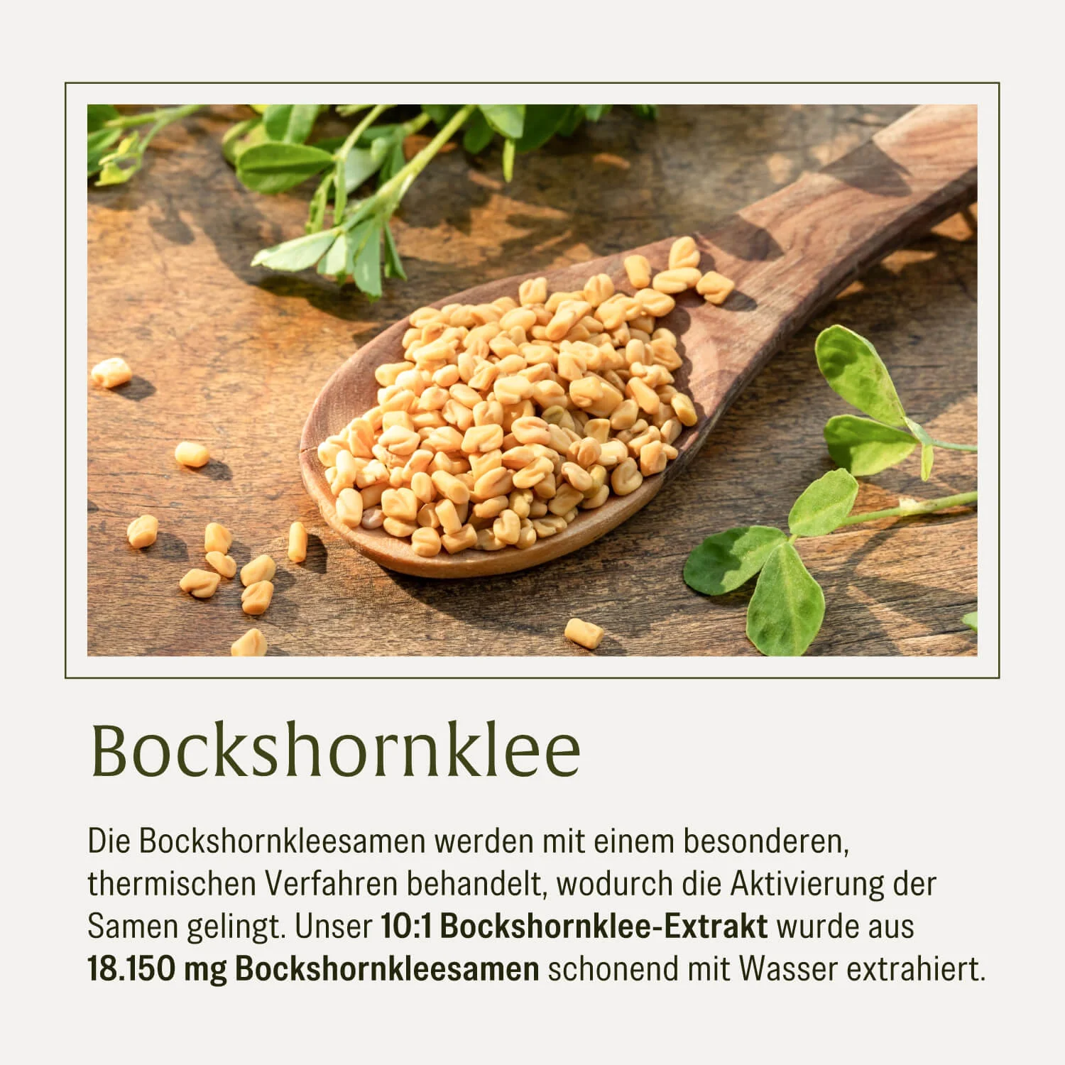 Vorschaubild 8