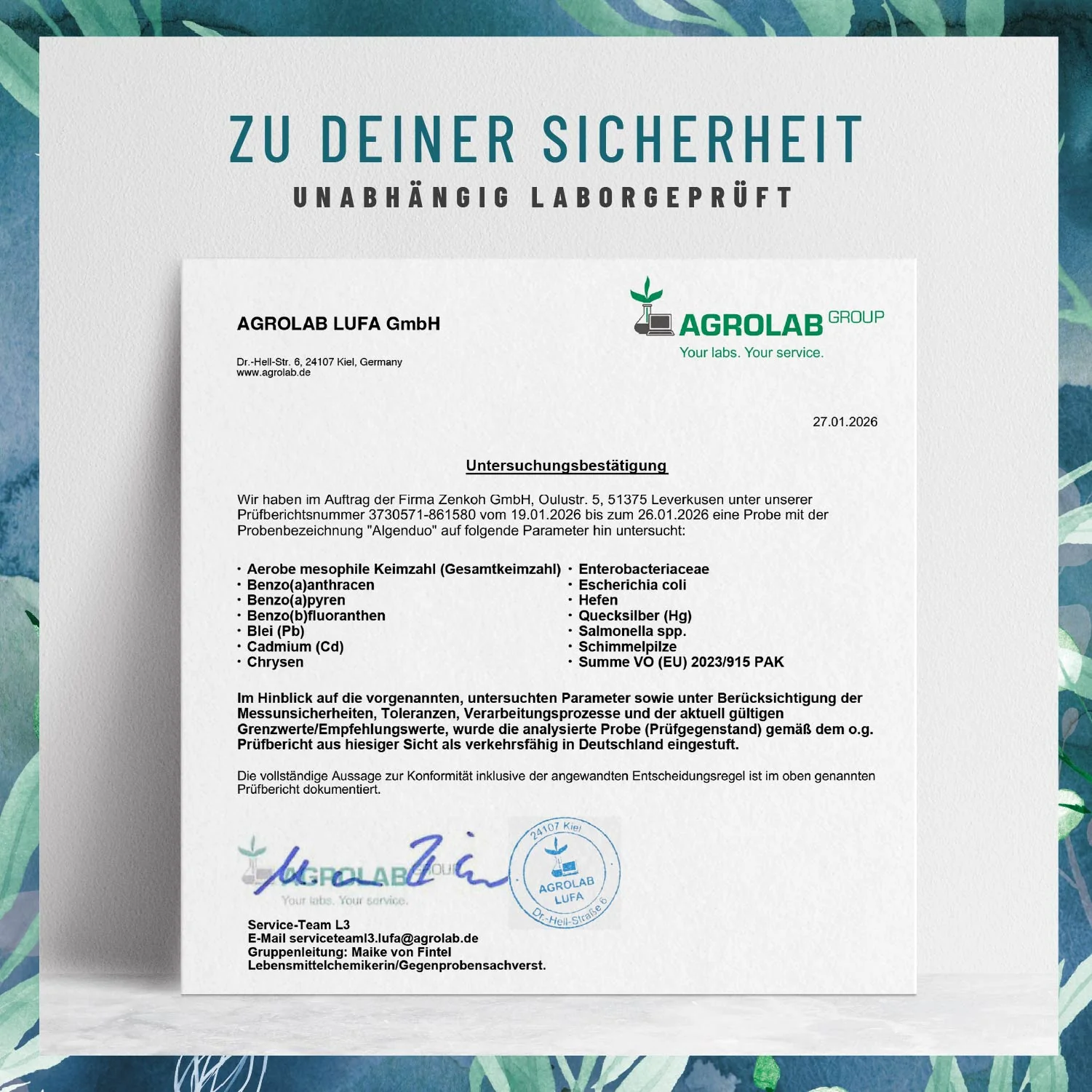 Vorschaubild 7