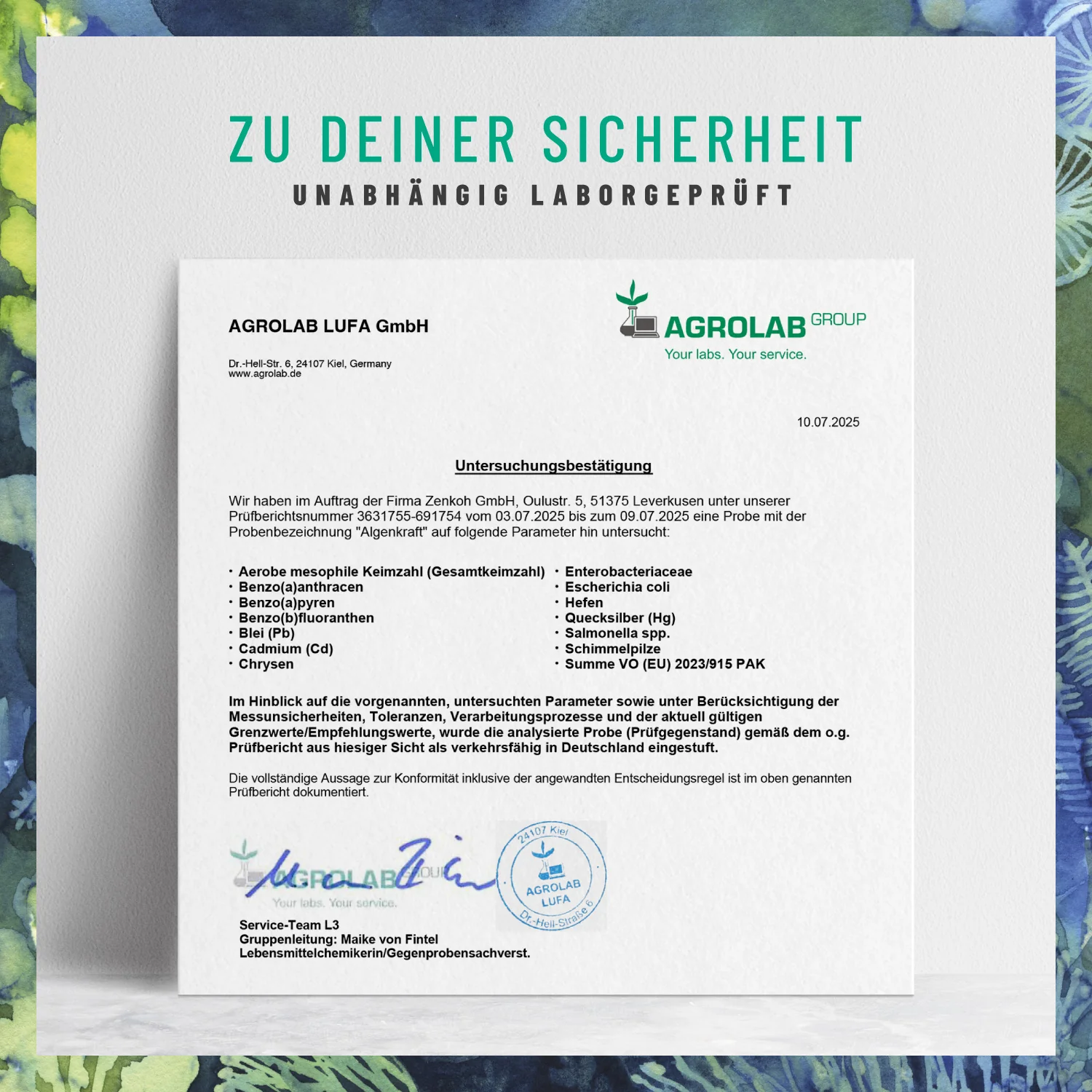 Vorschaubild 10
