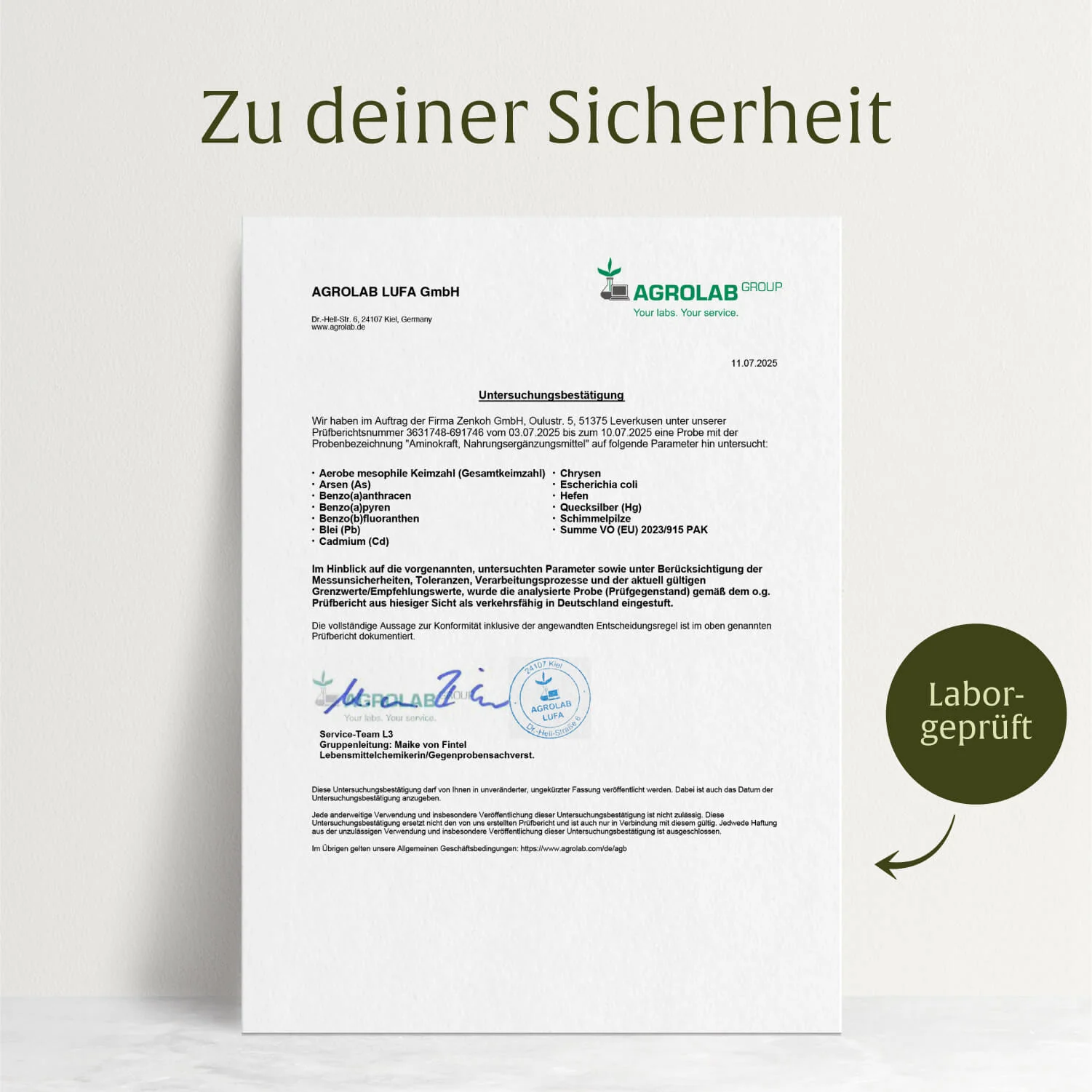 Vorschaubild 11