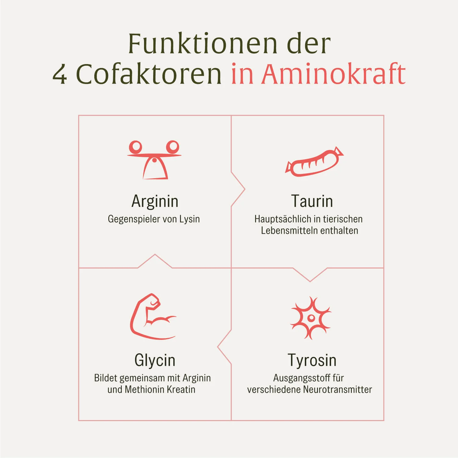 Vorschaubild 7