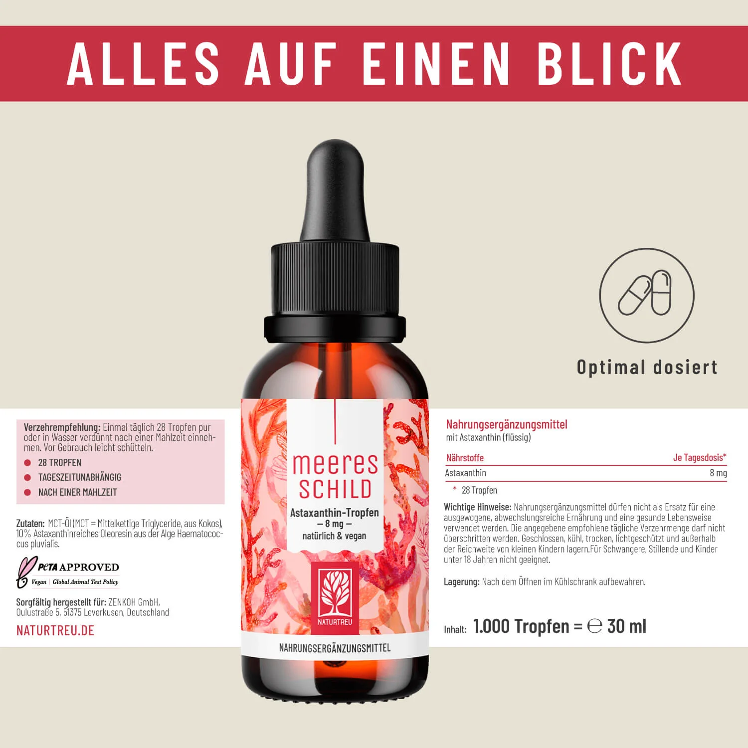 Vorschaubild 10