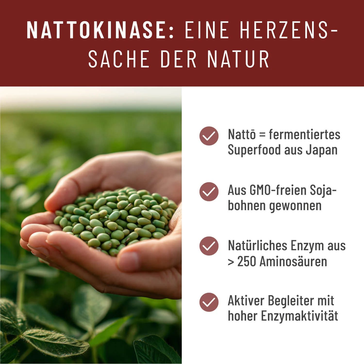 Vorschaubild 7