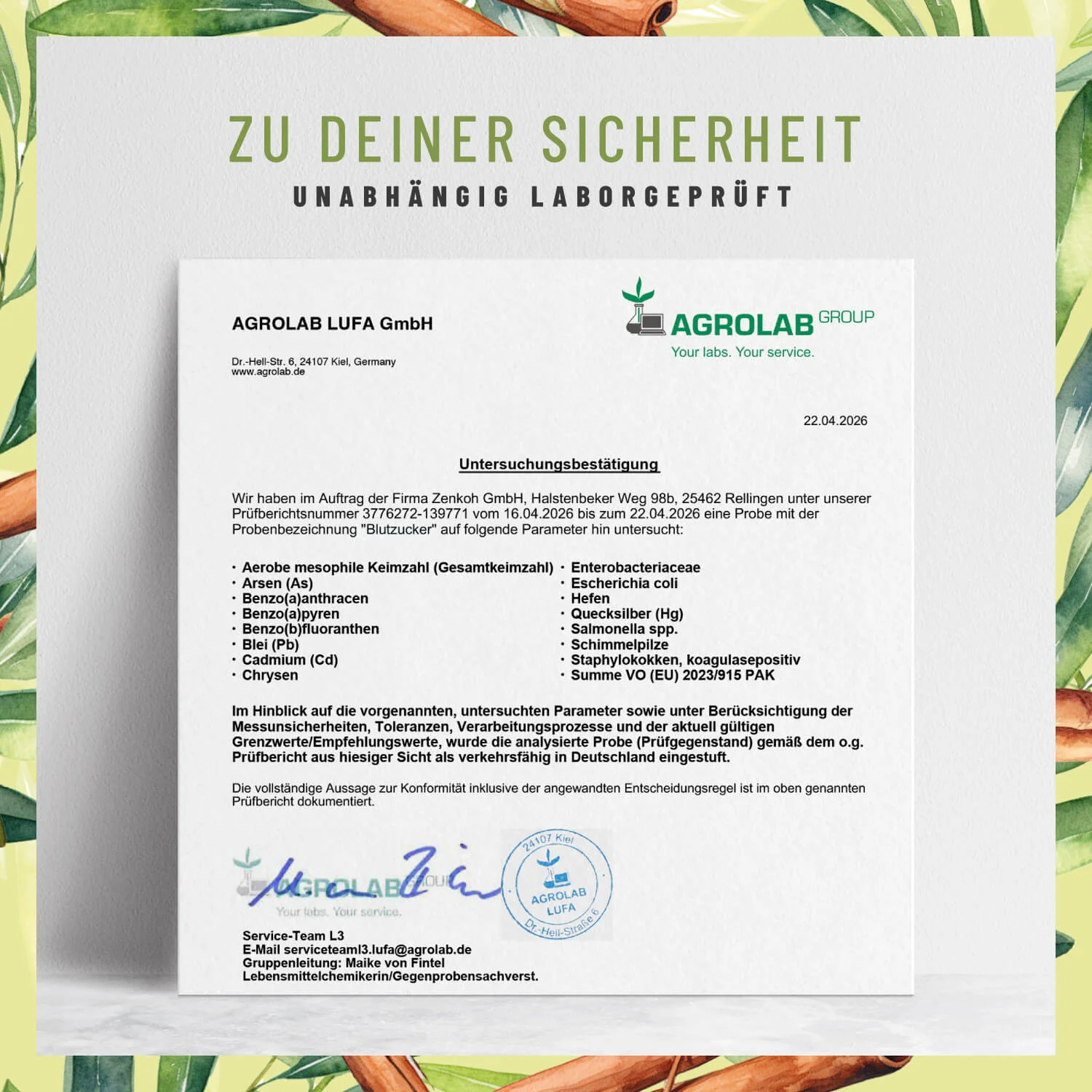 Vorschaubild 8