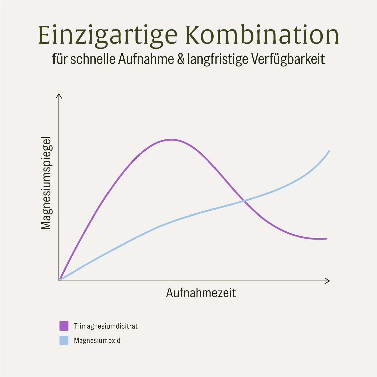 Vorschaubild 10