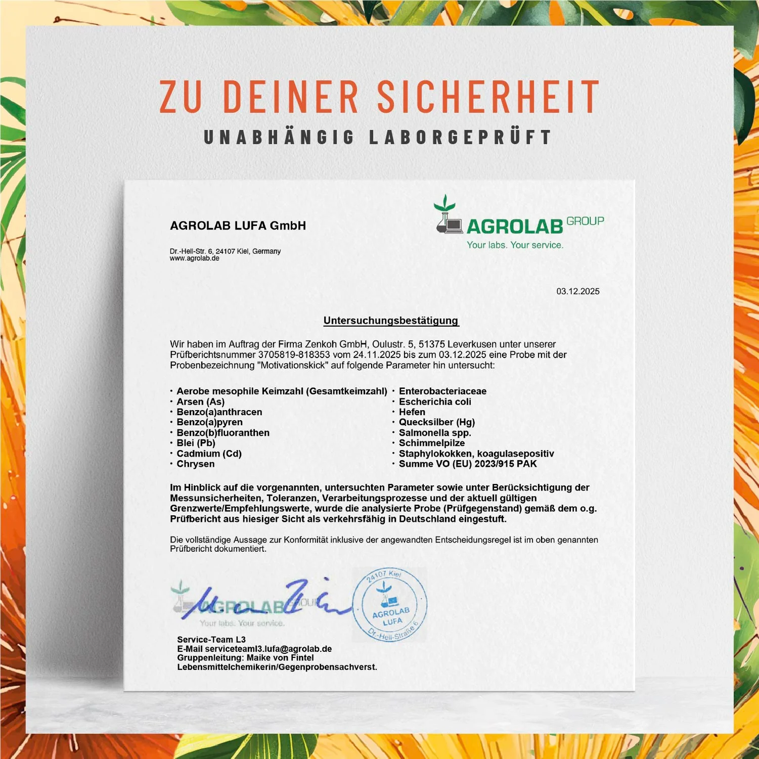 Vorschaubild 8