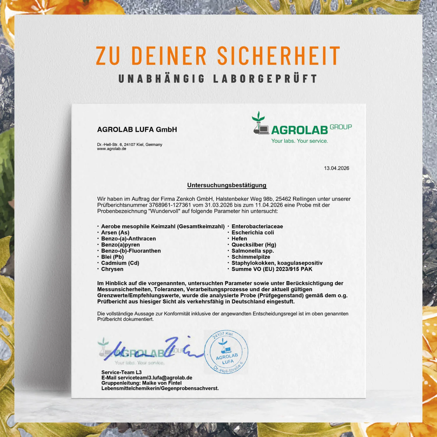 Vorschaubild 8