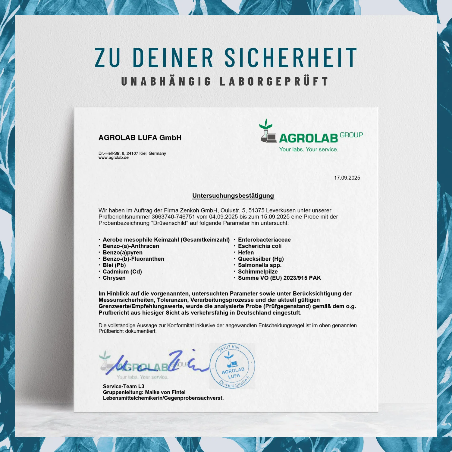 Vorschaubild 7