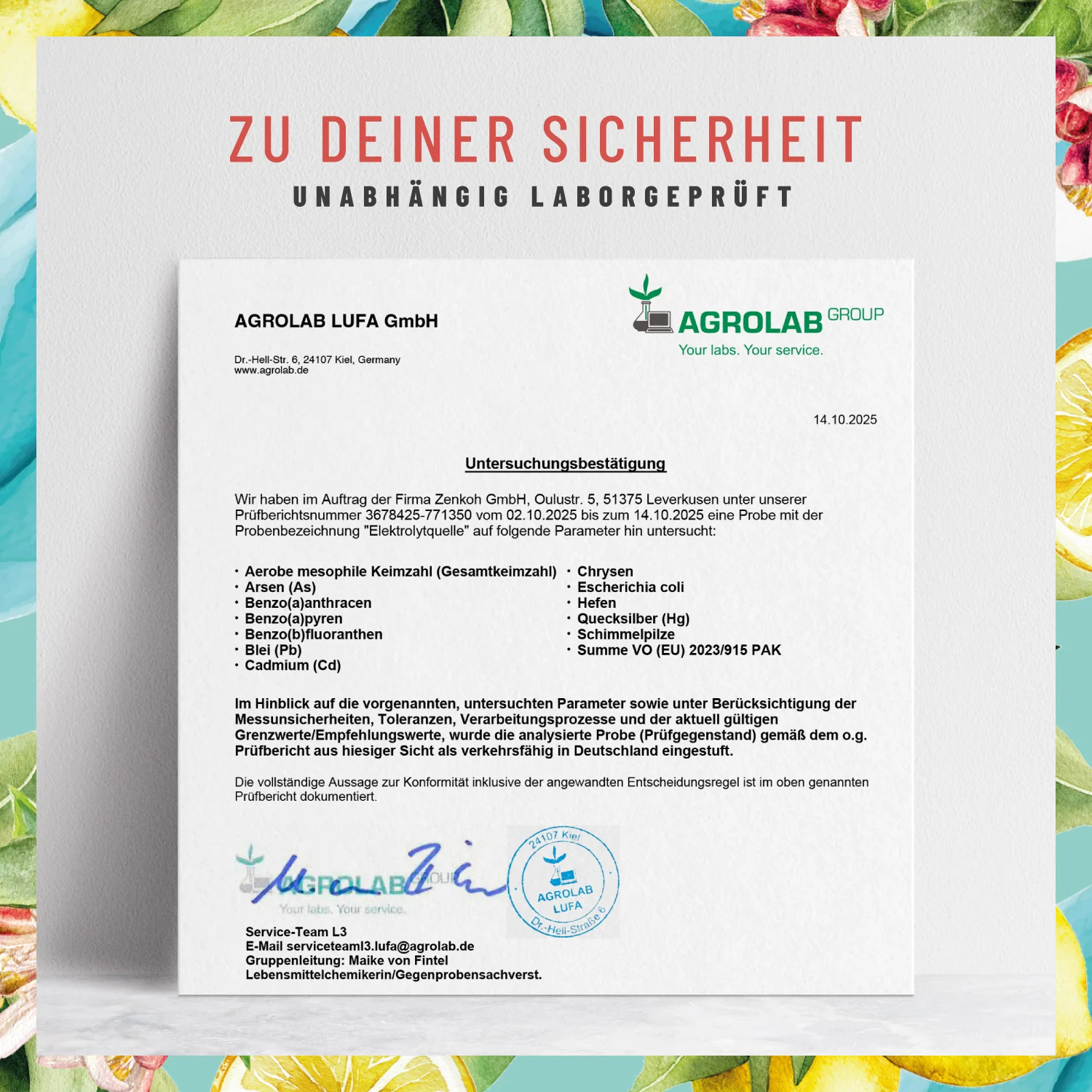 Vorschaubild 11