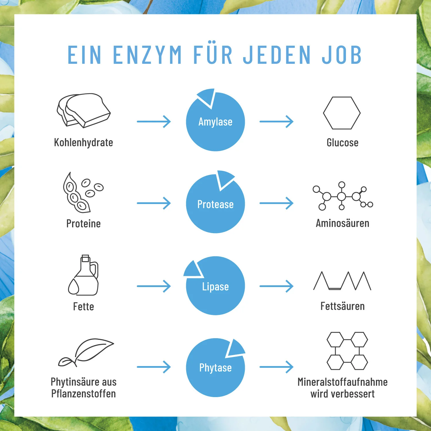 Vorschaubild 7