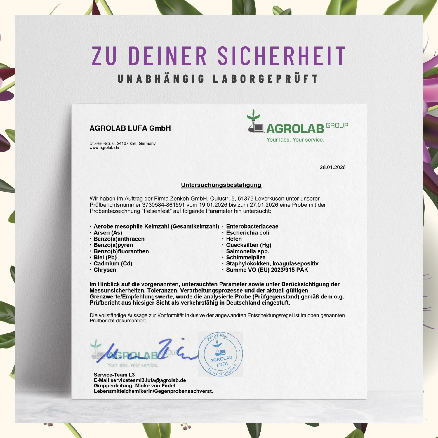 Vorschaubild 7
