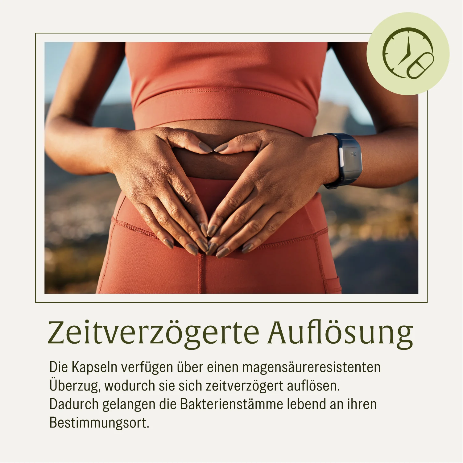 Vorschaubild 7