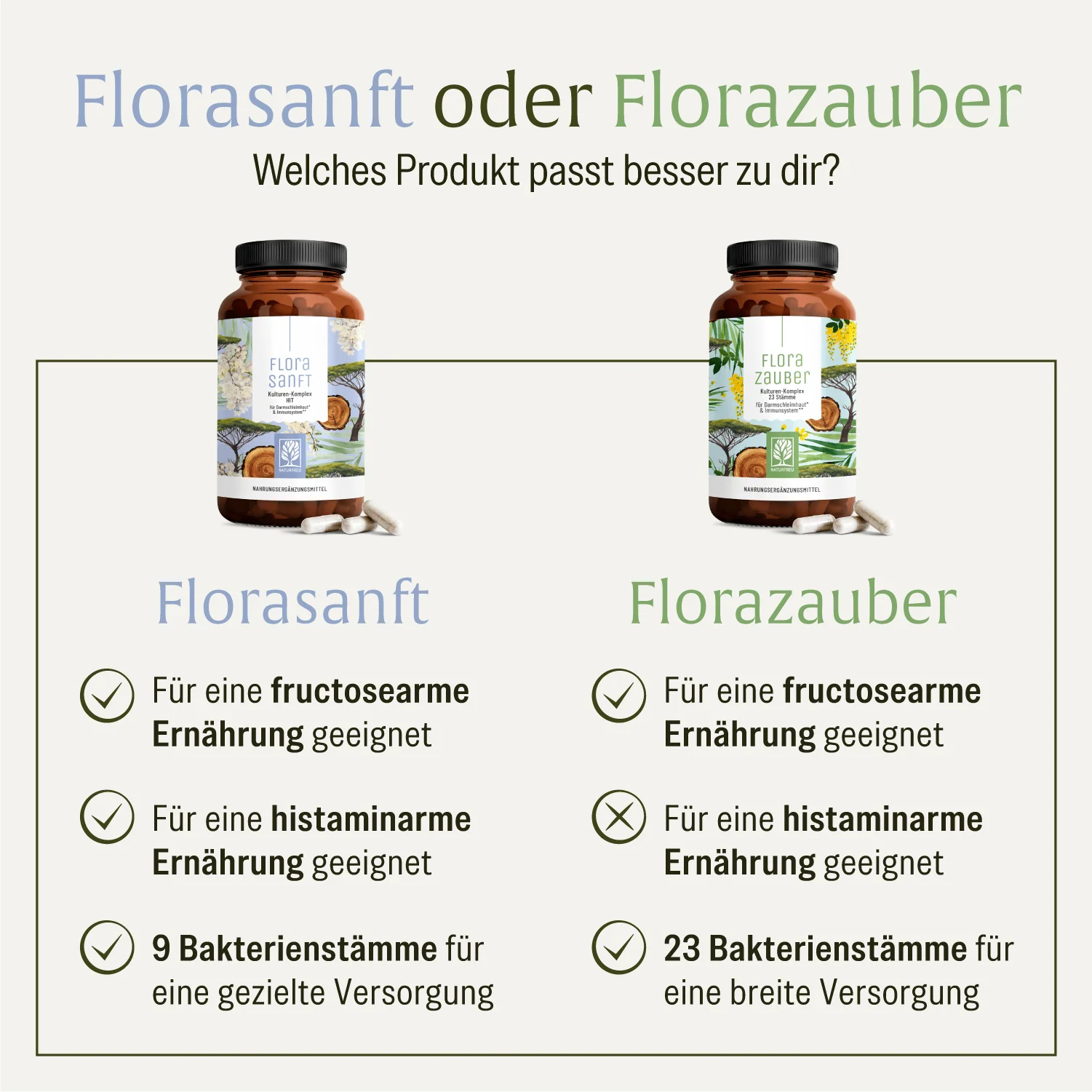 Vorschaubild 8