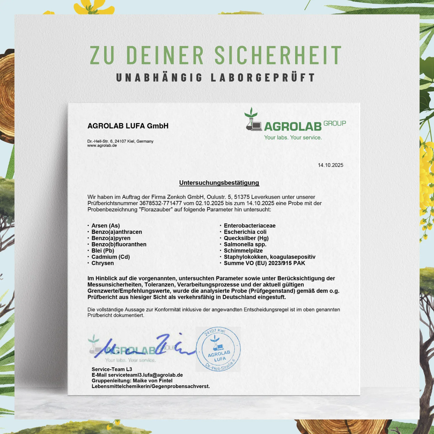 Vorschaubild 8