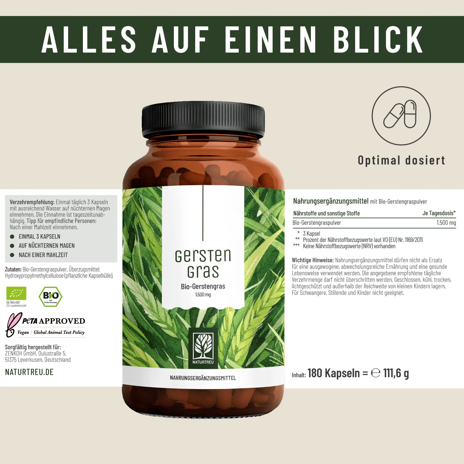 Vorschaubild 11