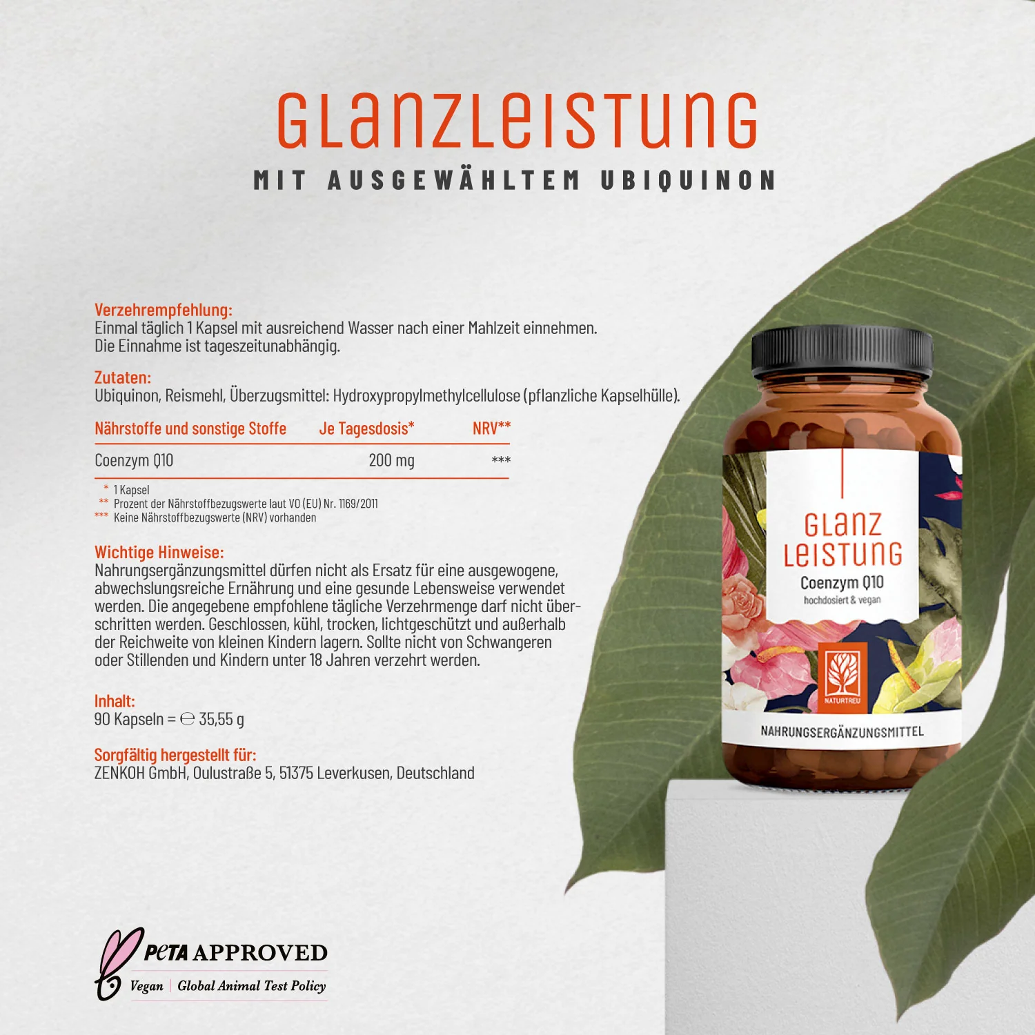 Vorschaubild 10