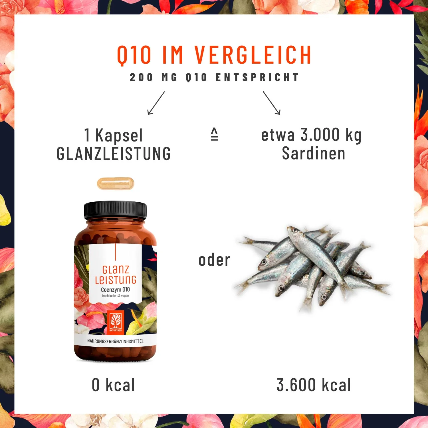 Vorschaubild 7