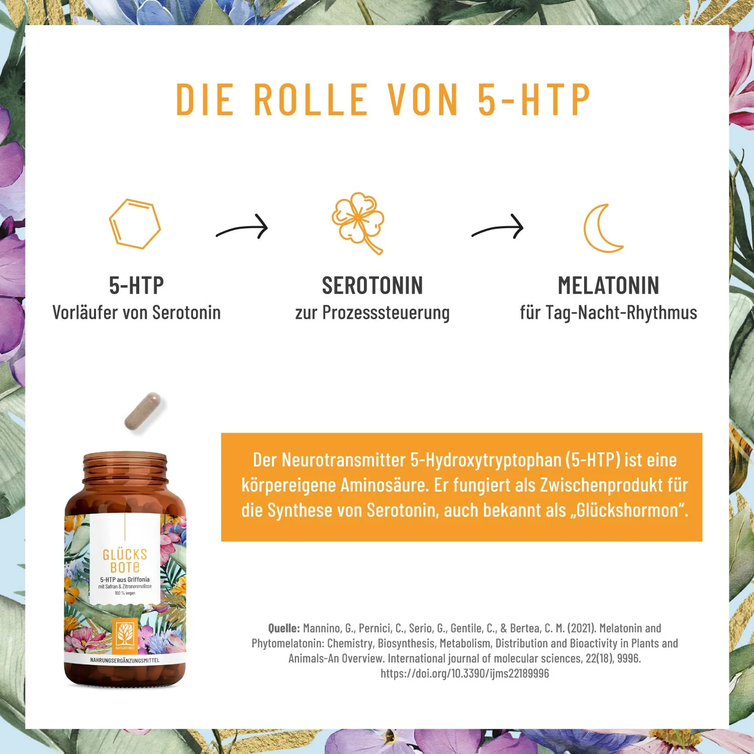 Vorschaubild 6