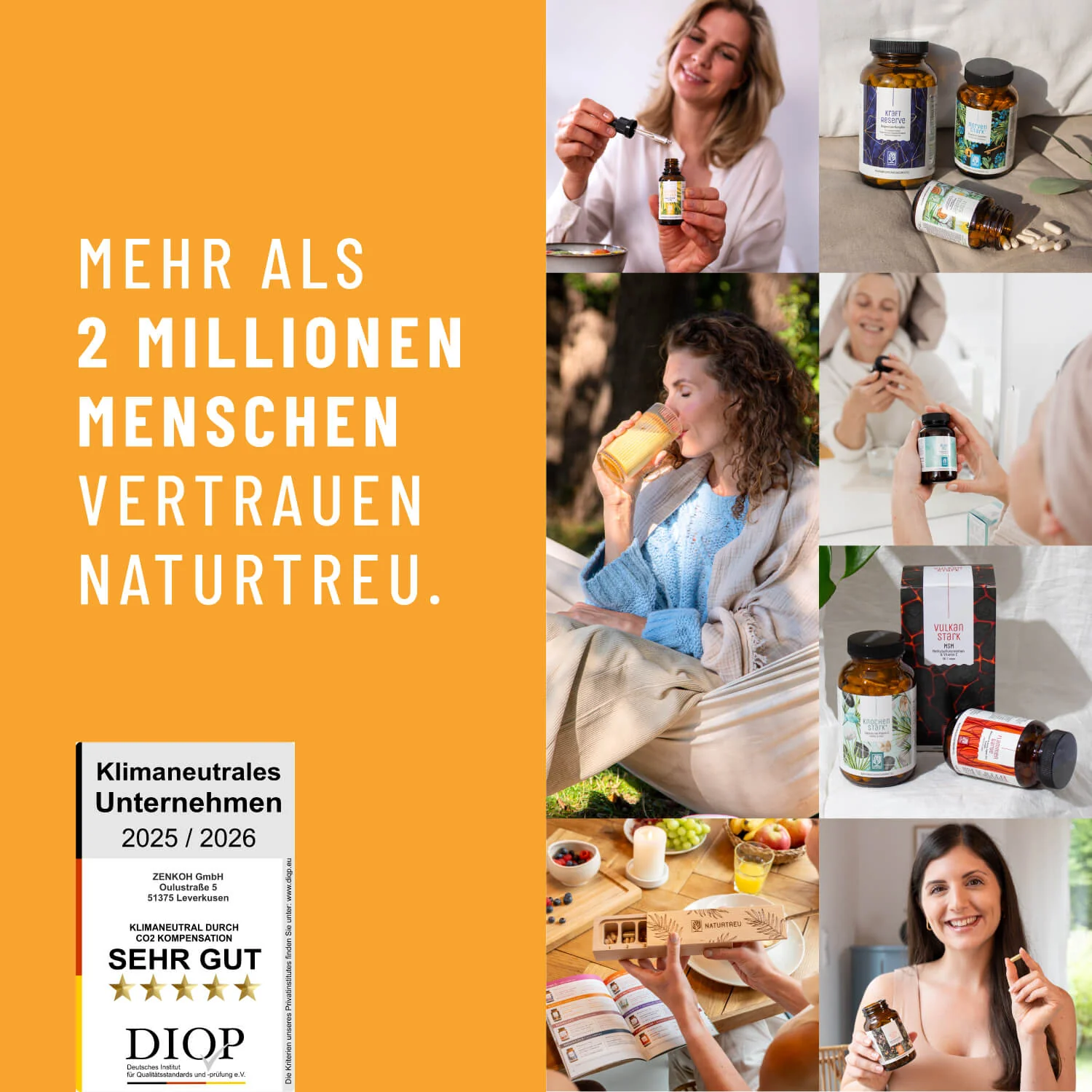 Vorschaubild 9
