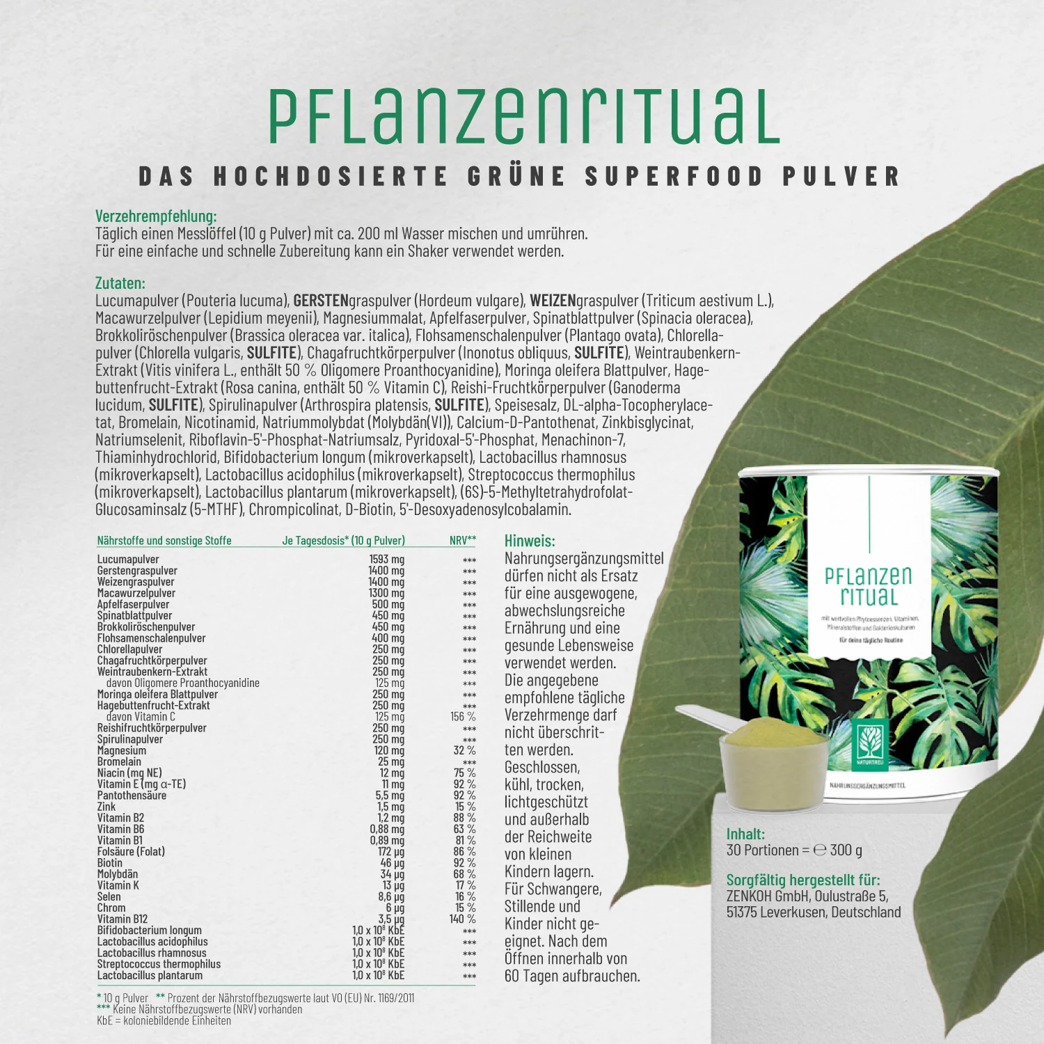 Vorschaubild 11