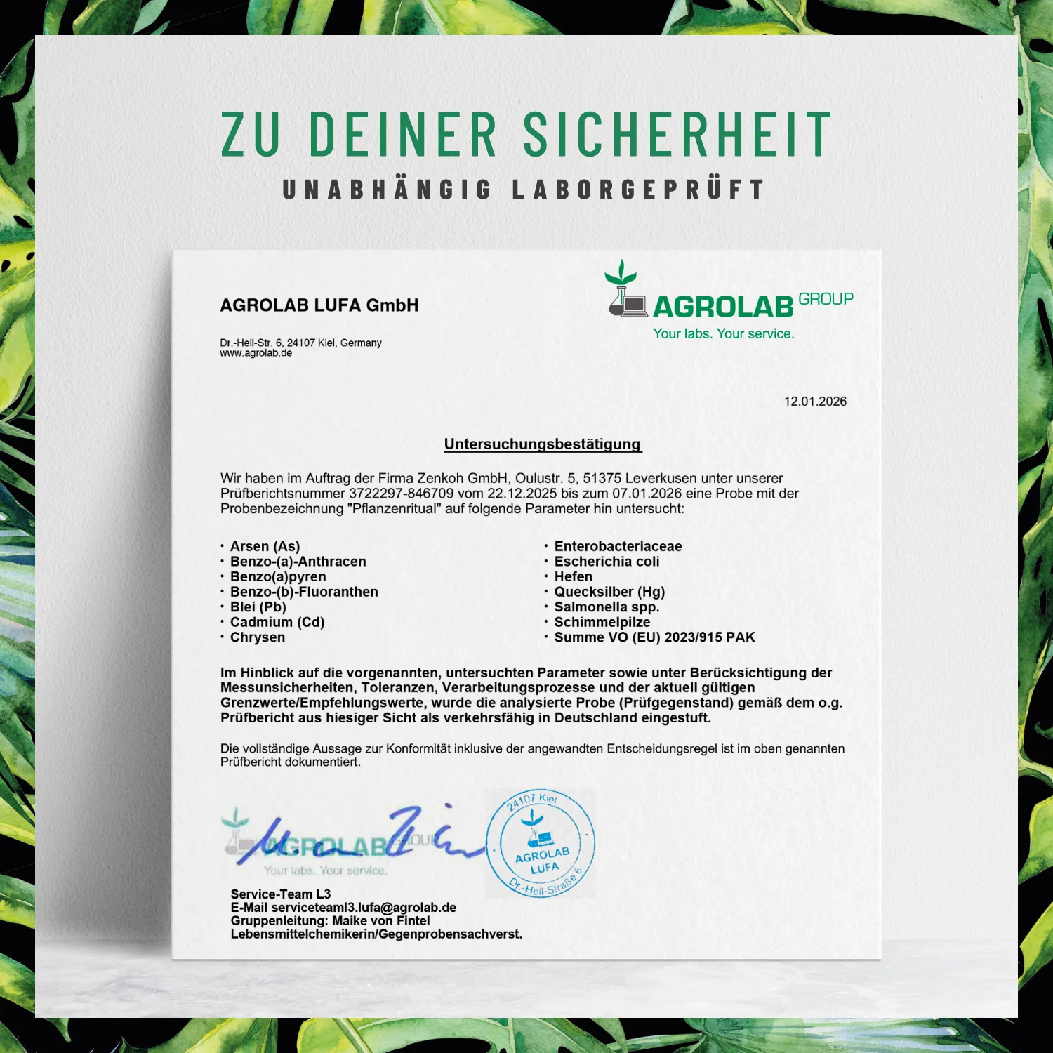 Vorschaubild 9