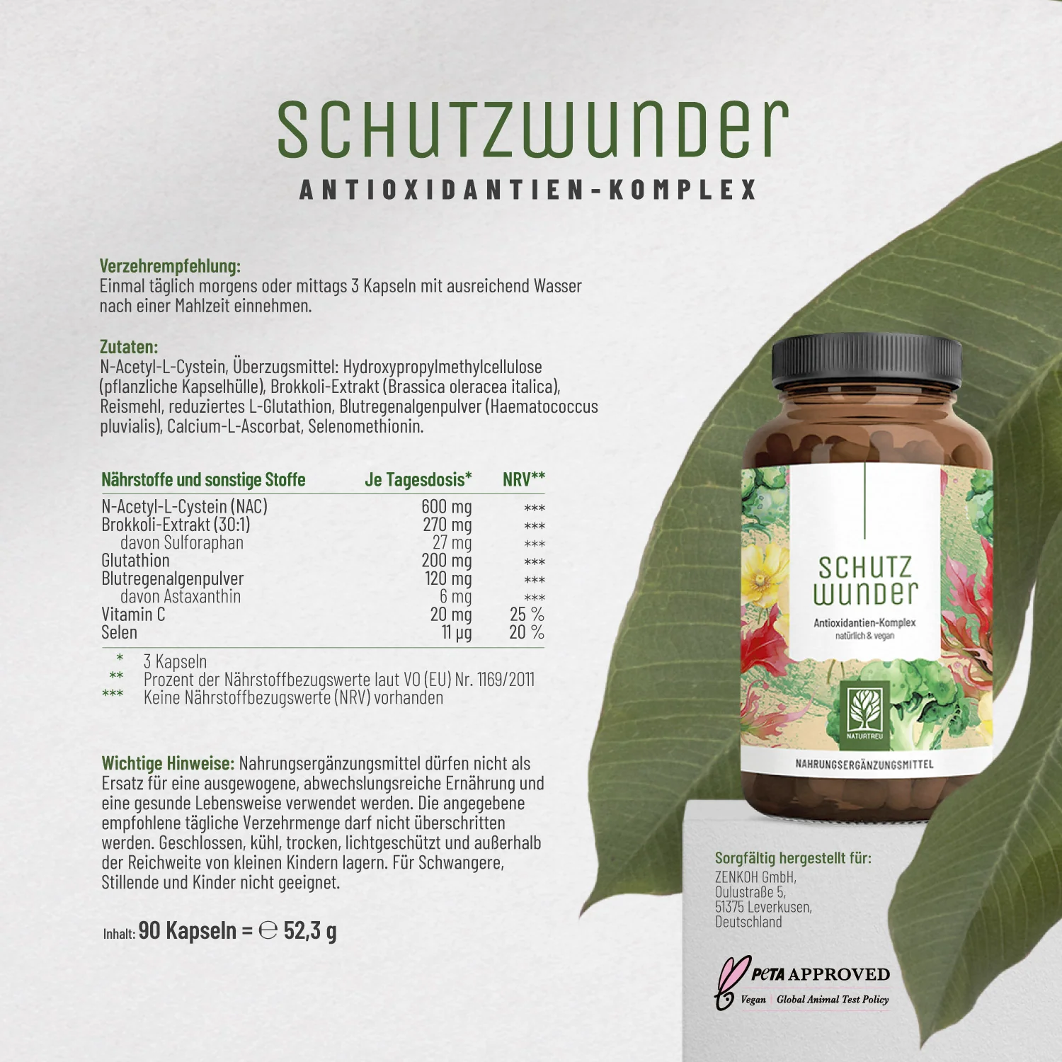 Vorschaubild 10