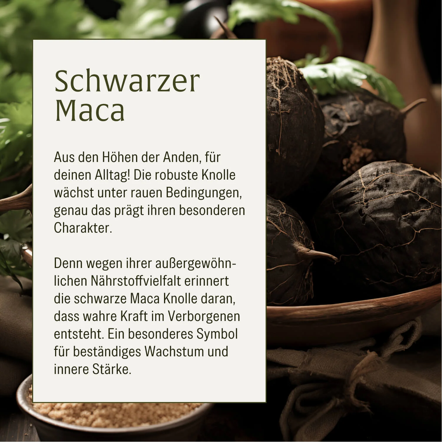 Vorschaubild 7