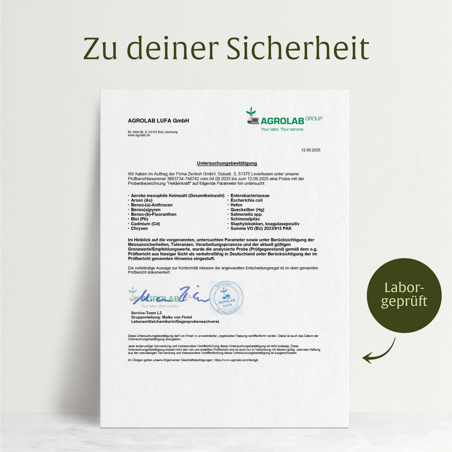 Vorschaubild 9