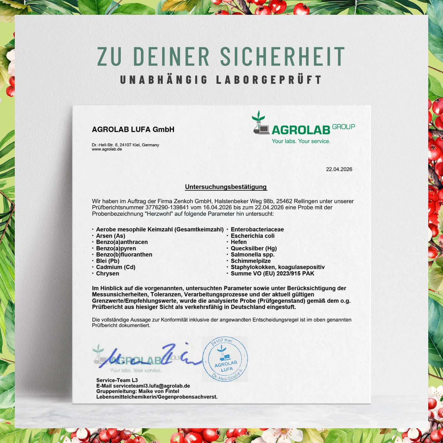 Vorschaubild 8