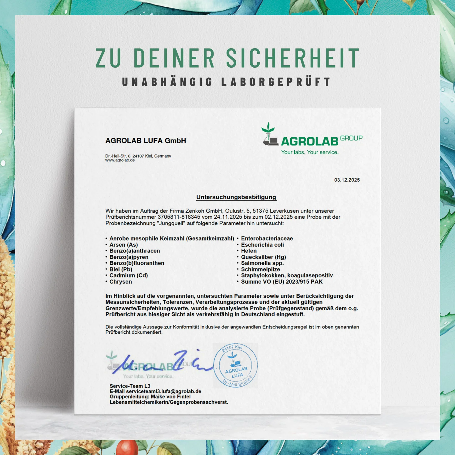 Vorschaubild 10