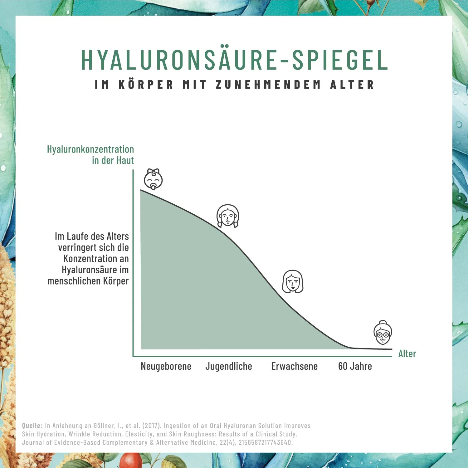 Vorschaubild 7