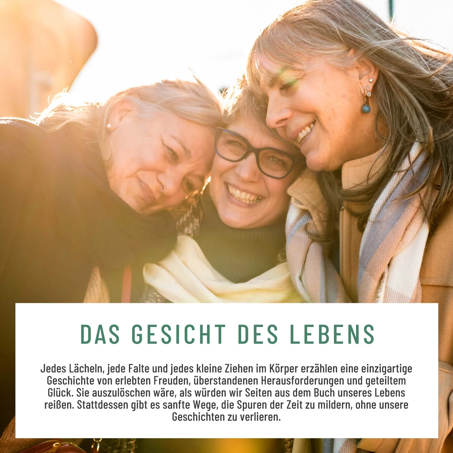 Vorschaubild 8