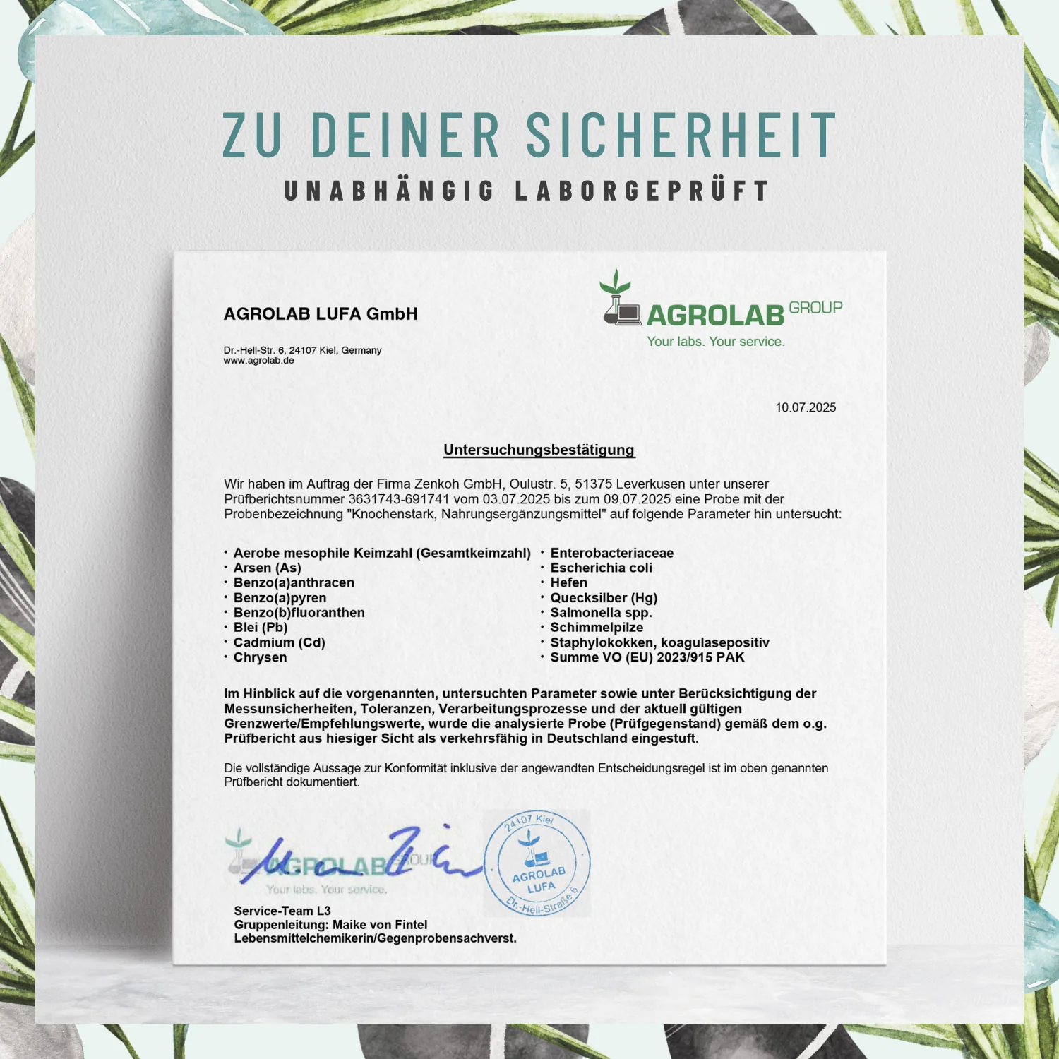 Vorschaubild 10