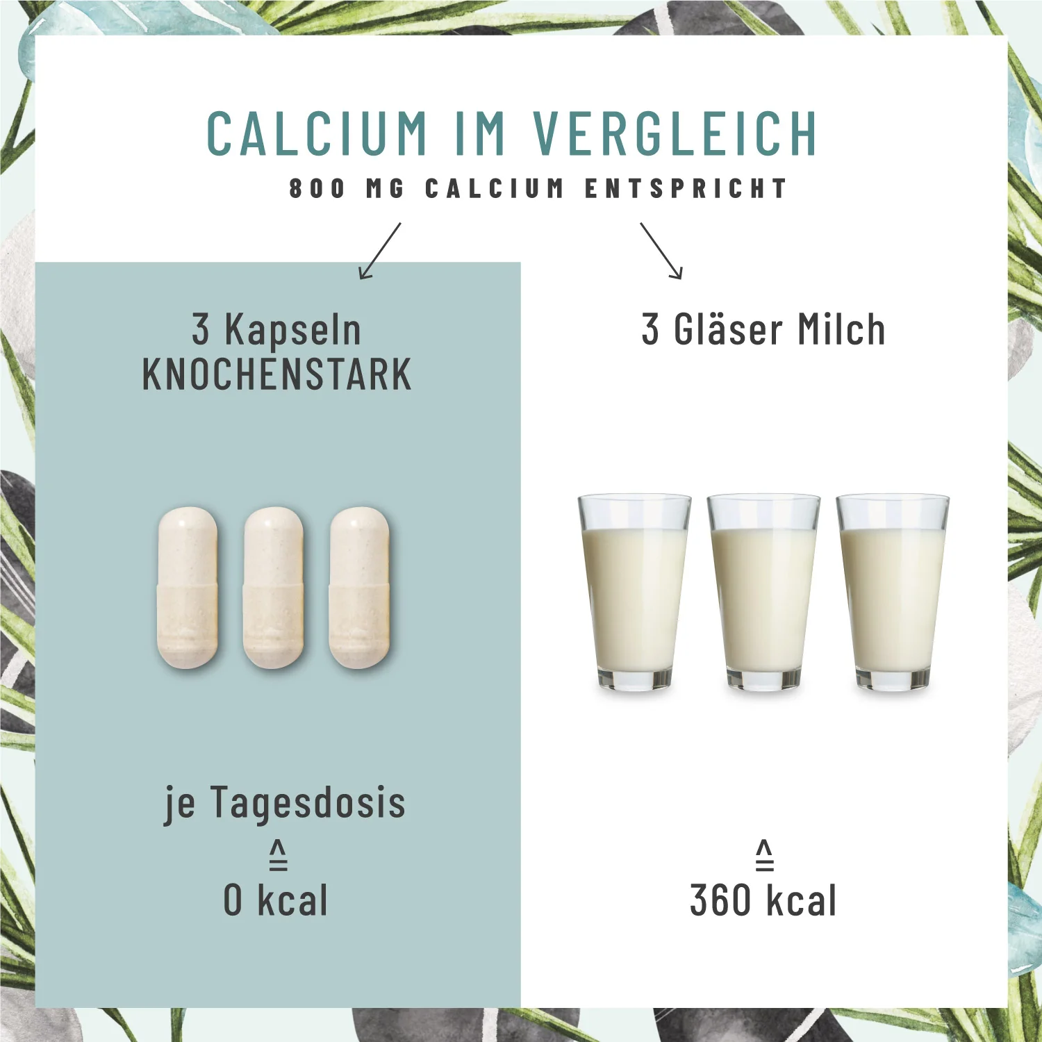 Vorschaubild 7