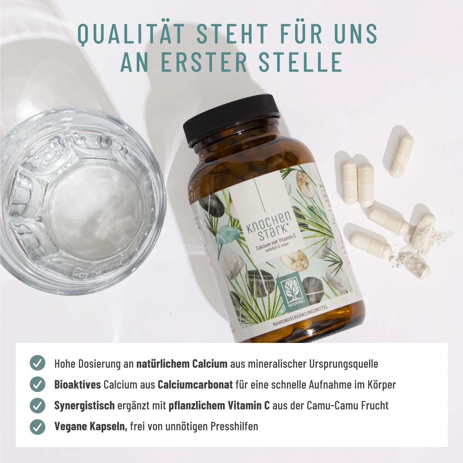 Vorschaubild 8