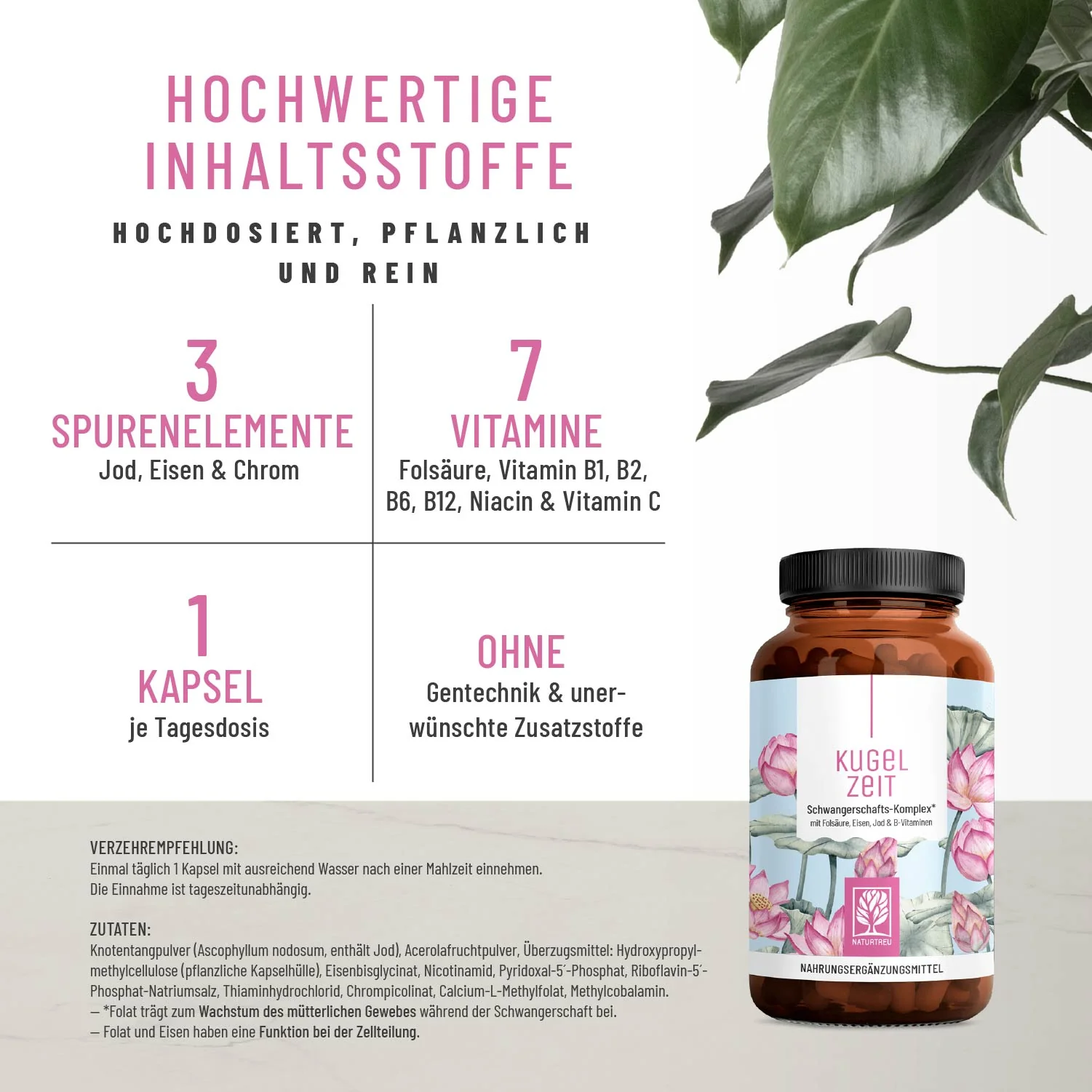 Vorschaubild 3