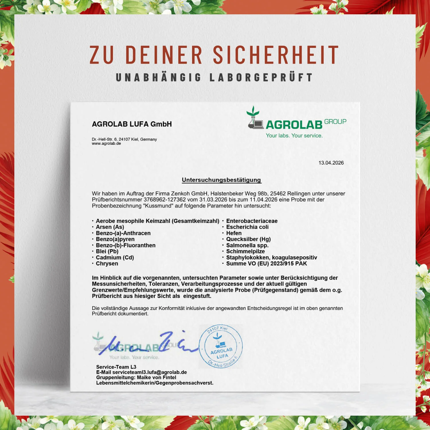 Vorschaubild 8
