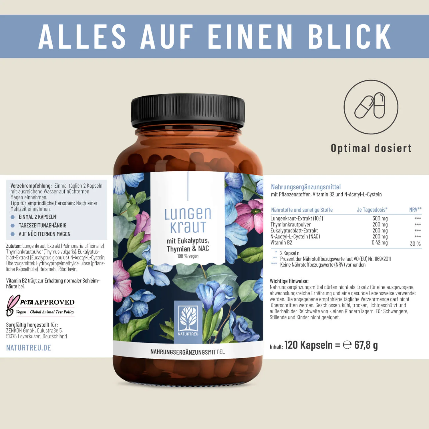 Vorschaubild 11