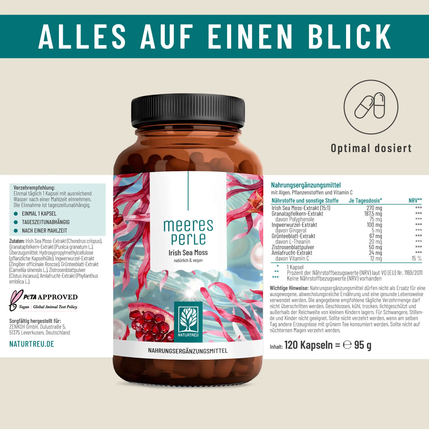 Vorschaubild 12