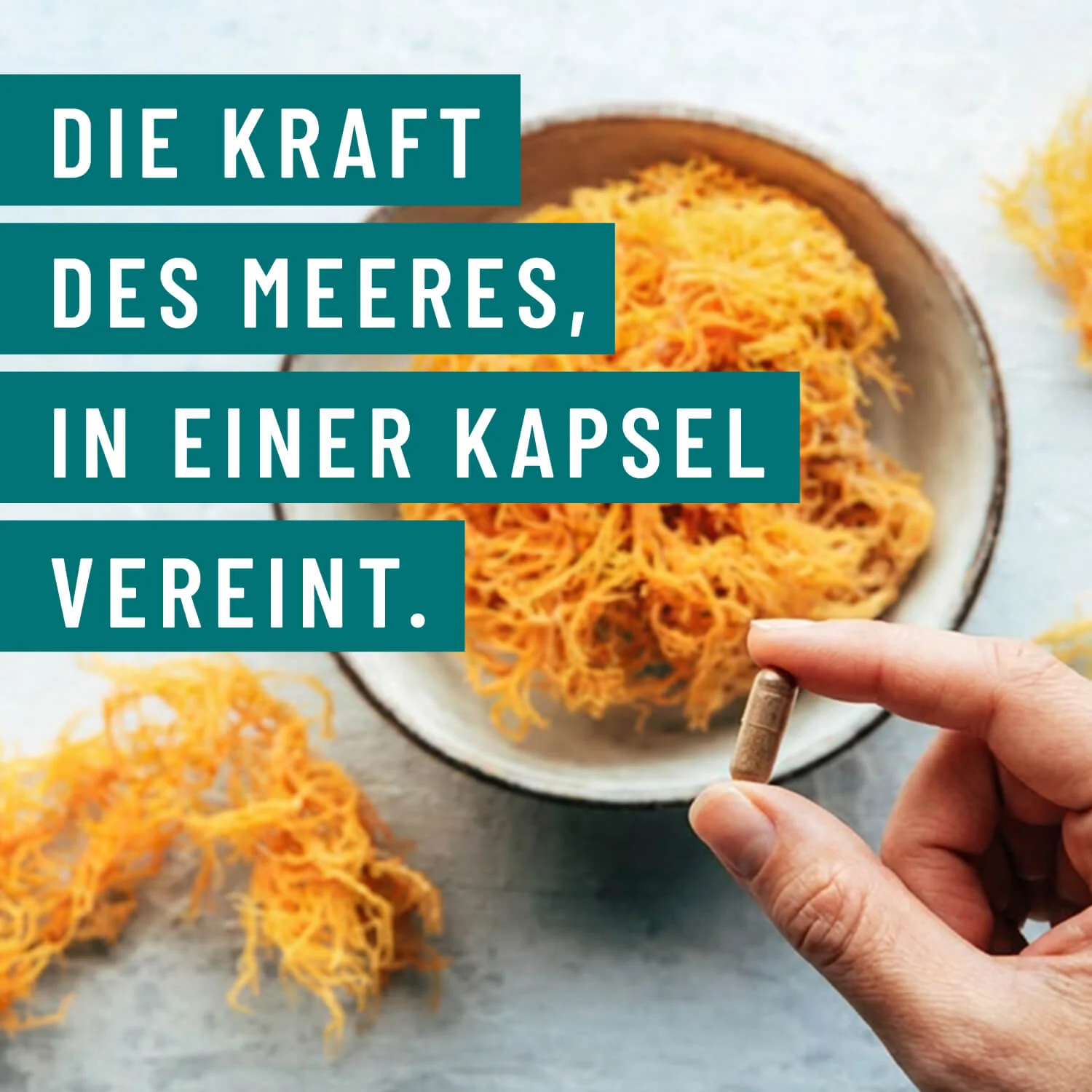 Vorschaubild 8
