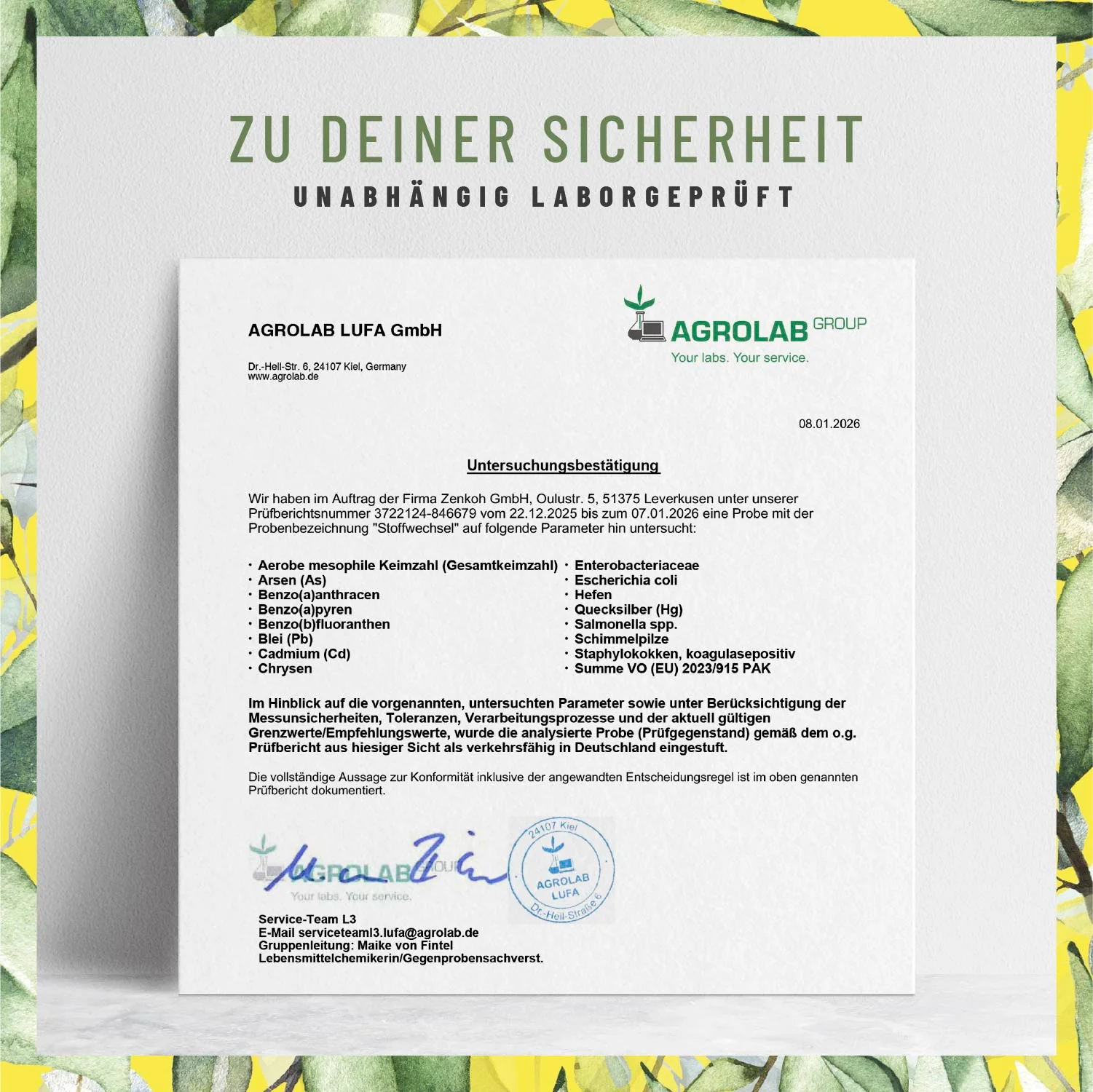 Vorschaubild 8