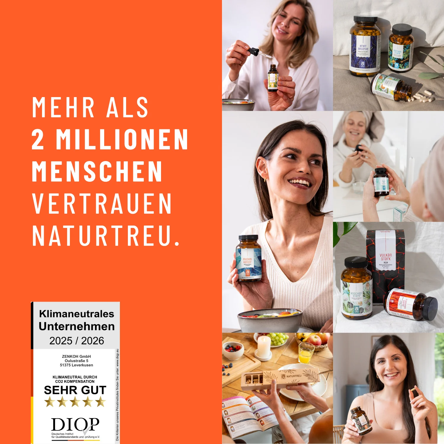 Vorschaubild 11