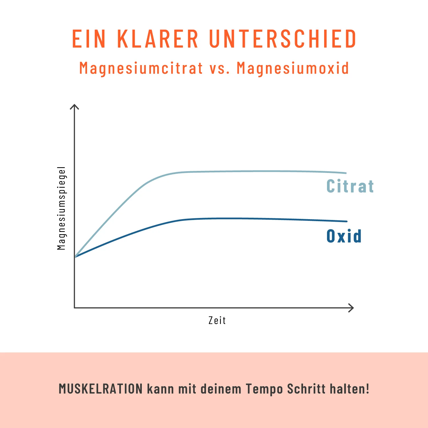 Vorschaubild 8