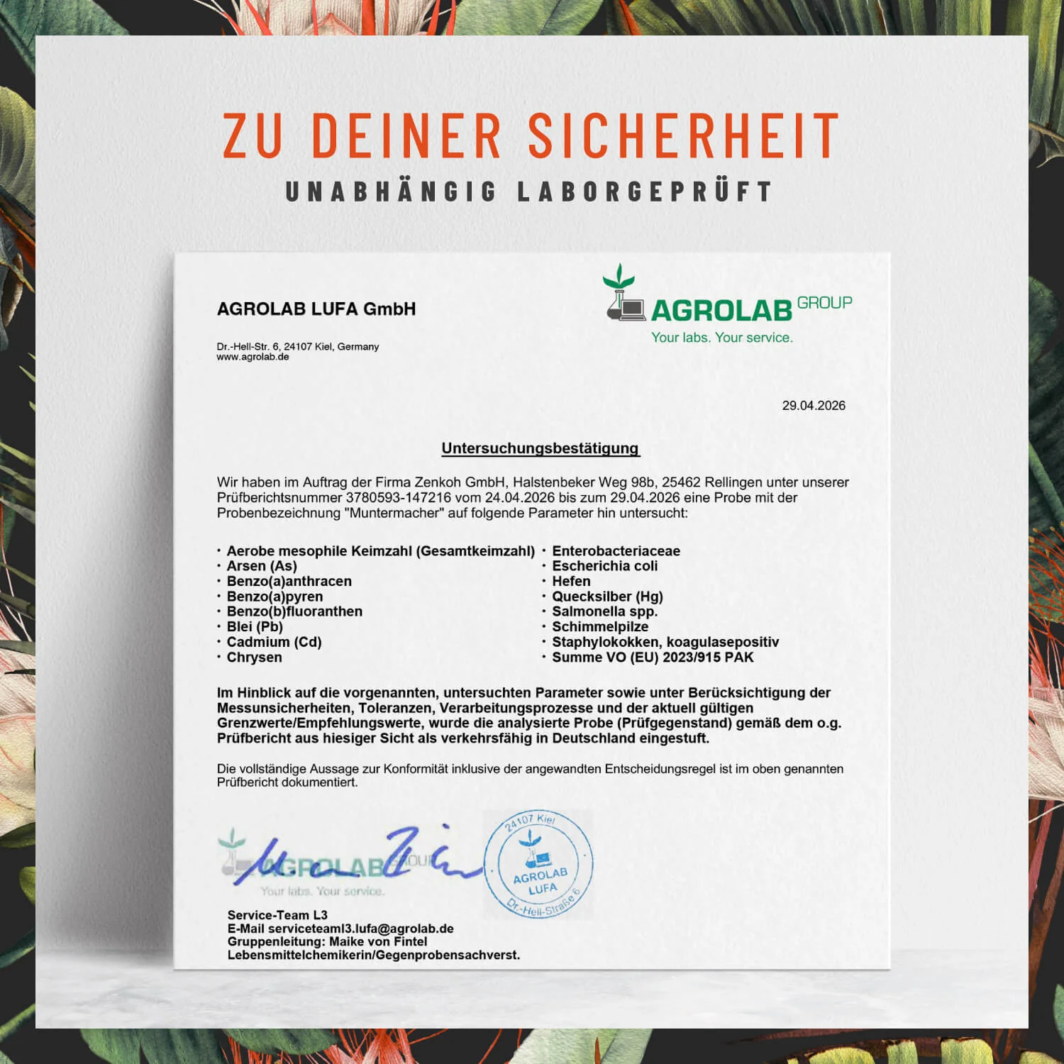 Vorschaubild 8