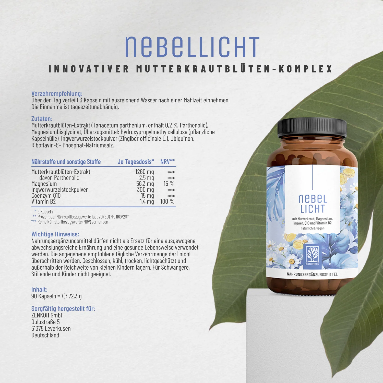 Vorschaubild 10