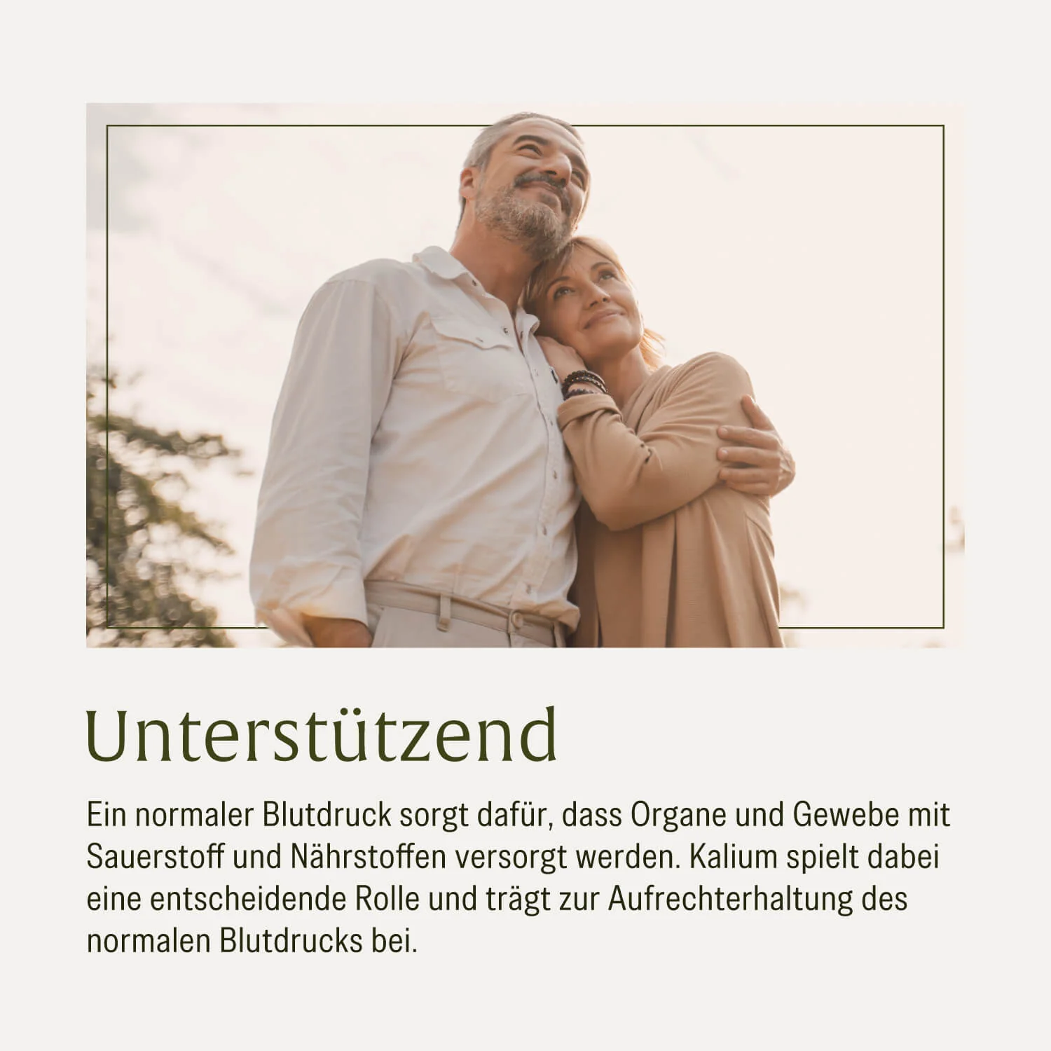 Vorschaubild 7