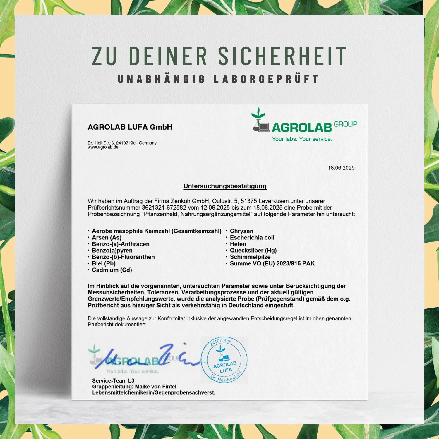 Vorschaubild 7