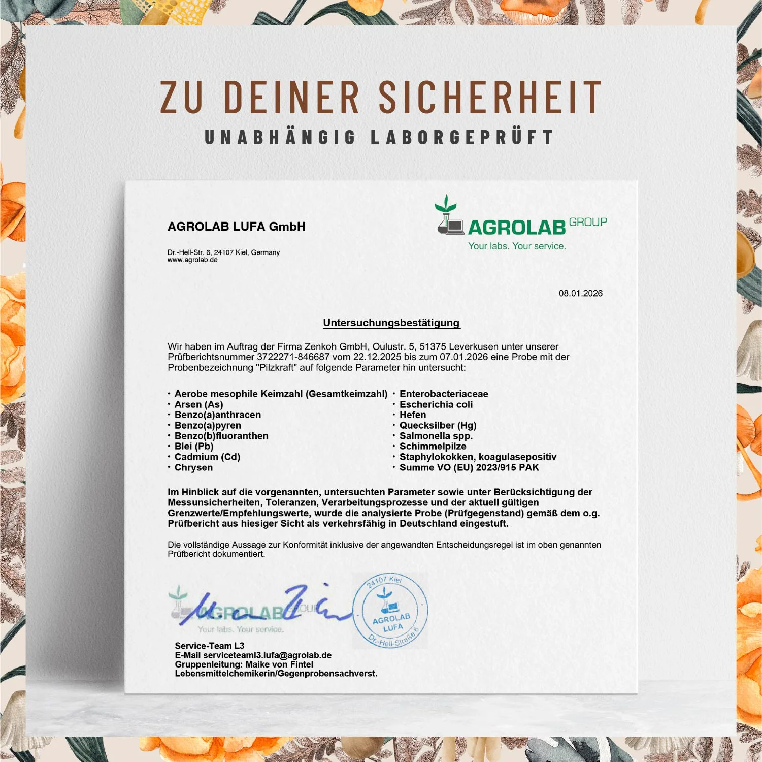 Vorschaubild 8
