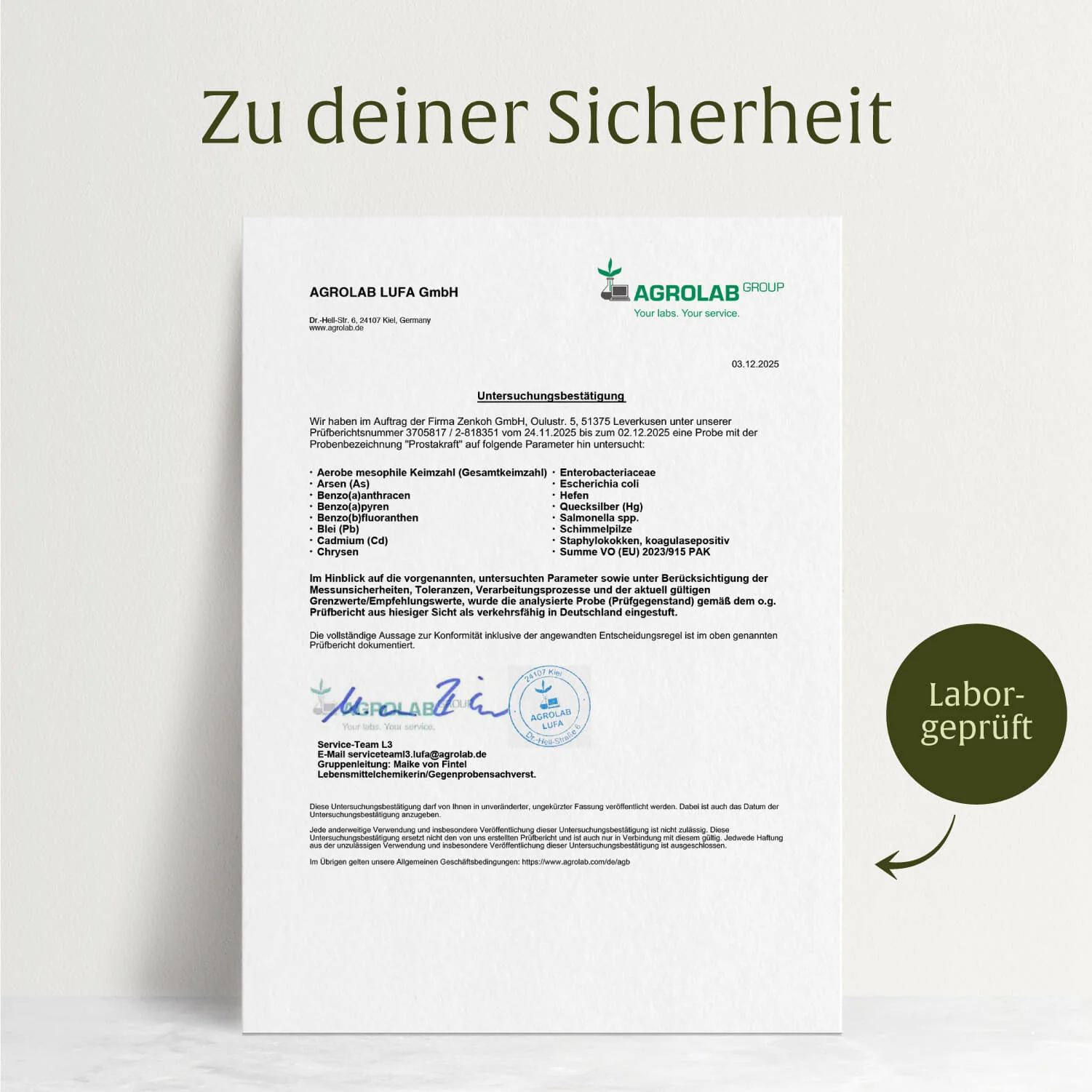 Vorschaubild 8