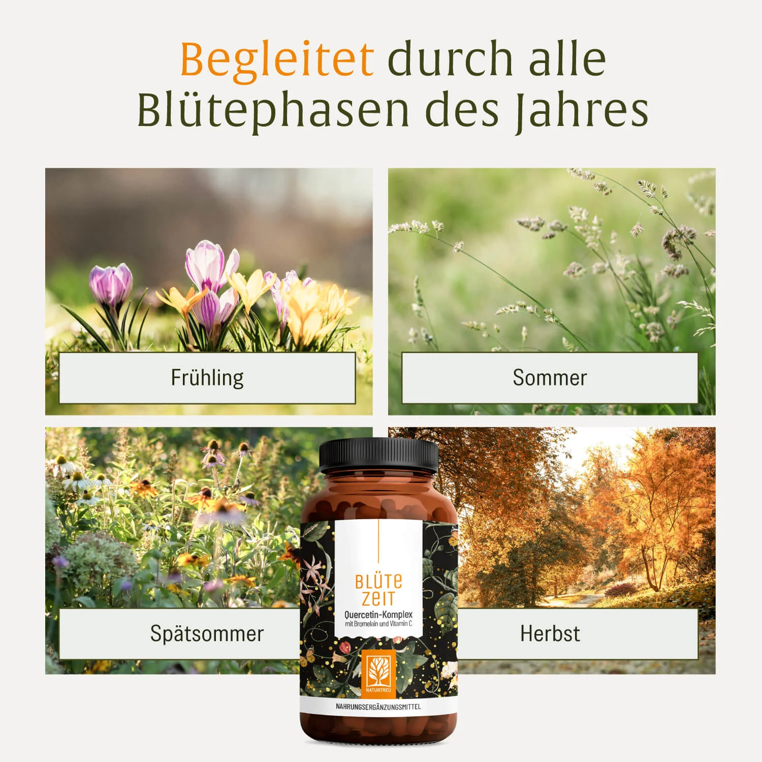 Vorschaubild 7